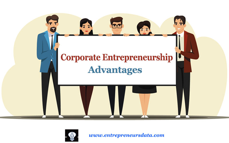 Hvorfor er corporate entrepreneurship vigtig? 2